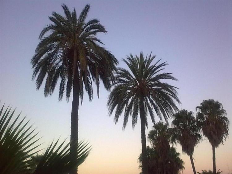 Baladres Holidays Lek Peñíscola المظهر الخارجي الصورة